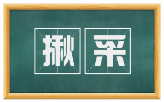 揪采