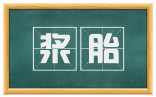 浆胎