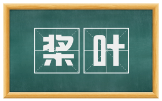 桨叶