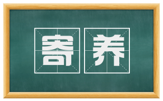 寄养