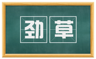 劲草