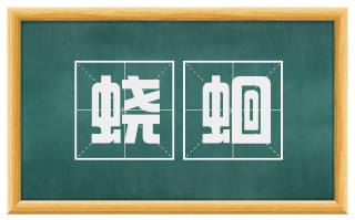 蛟蛔