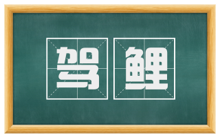 驾鲤