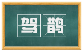 驾鹊