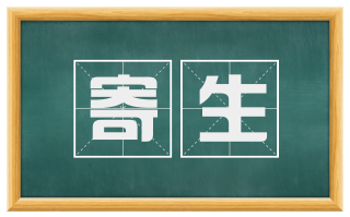 寄生