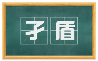 孑盾