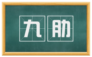 九肋