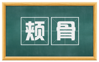 颊骨