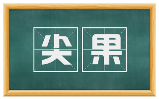 尖果
