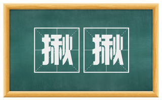 揪揪