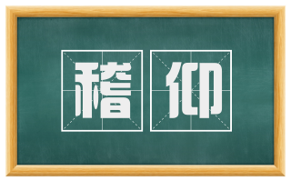 稽仰