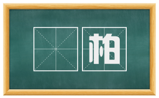 葪柏