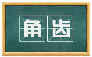 角齿