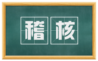 稽核