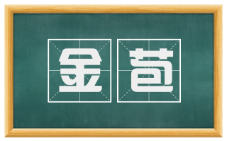 金苞