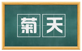 菊天