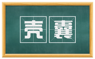 壳囊