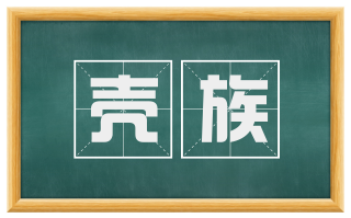 壳族