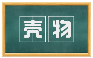 壳物