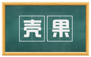 壳果