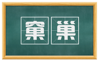 窠巢