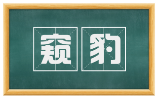 窥豹