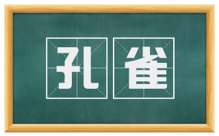孔雀