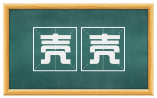 壳壳