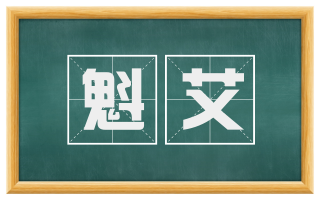 魁艾