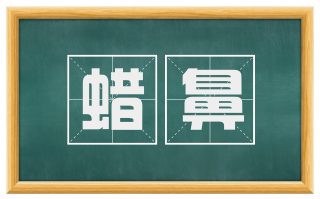 蜡鼻