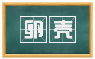 卵壳
