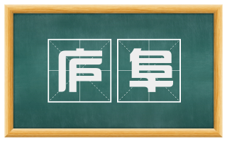 庐阜