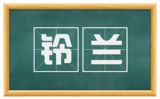 铃兰