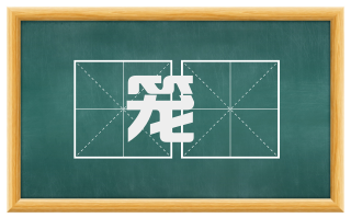 笼臿