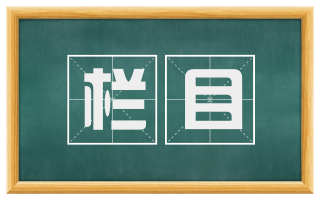 栏目