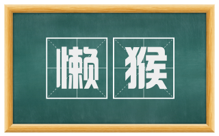 懒猴