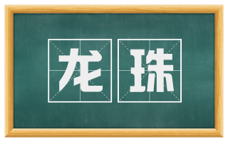 龙珠