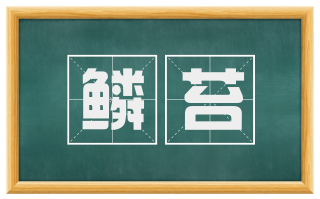 鳞苔