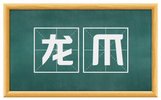 龙爪