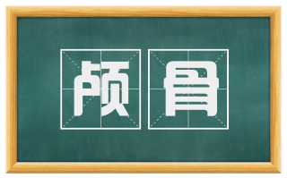颅骨