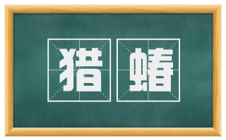 猎蝽
