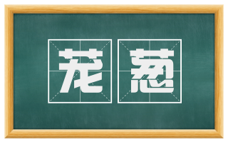 茏葱