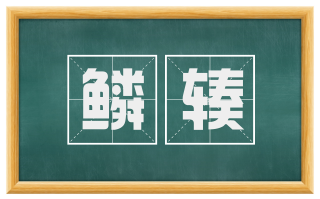 鳞辏