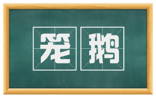 笼鹅