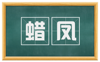 蜡凤
