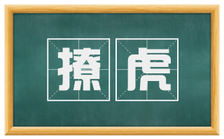 撩虎