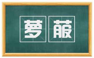 萝菔