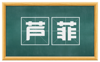 芦菲