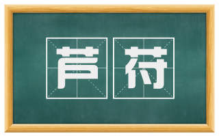 芦苻