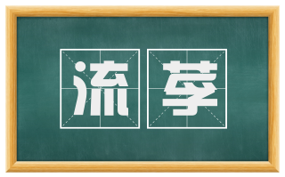 流莩